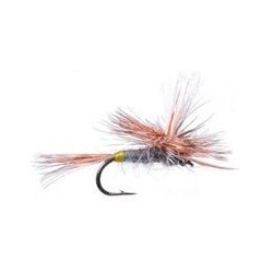 Adams Female Parachute