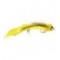 Deerhair Diver Black Yellow