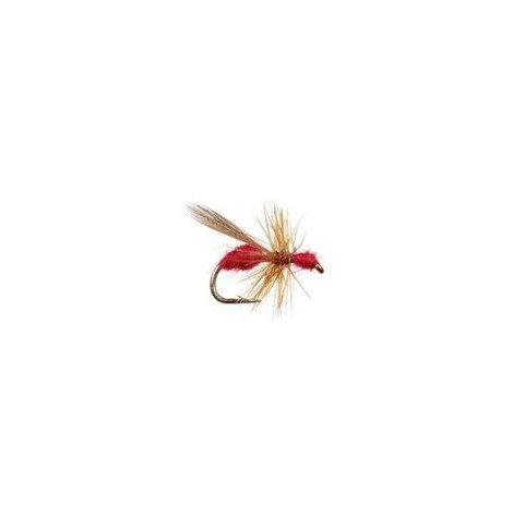 Flying Ant Red