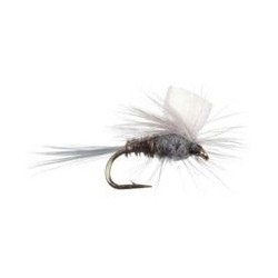 Foam Wing Gray Olive Parachute