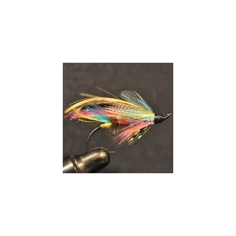 Butcher Full Dressed