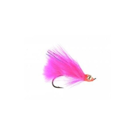 Coho Comet