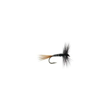 FPL Black Ribbed