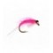 Sockeye Shrimp Pink