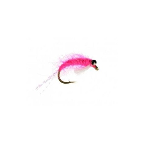 Sockeye Shrimp Pink