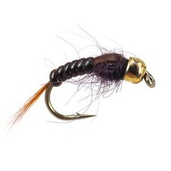 Ales TG Brown Body Glas