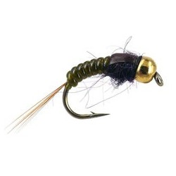 Ales TG Olive Body Glas