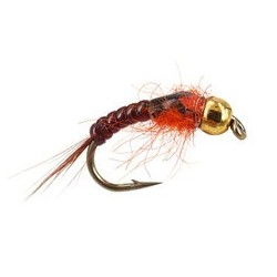 Ales TG Orange Body Glas