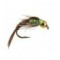 Ales TG Verdina Pheasant