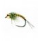 Biot Nymph