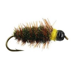 Classic TG Peeping Caddis 10