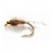 FBack Pheasant Tail