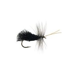 Goddard Caddis Black