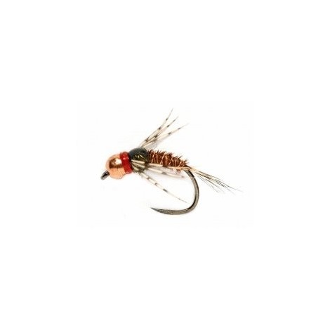 Red Collar Leggy Pheasant Tail