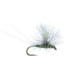 Bears BWO Parachute