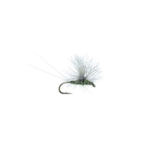 Bears BWO Parachute