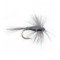Gray Hackle