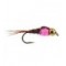 TG Tactical Pheasant Tail Pink Collar