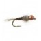 TG Wb Pheasant Tail