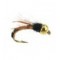 TG Wired Caddis Amber