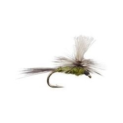 Gulpher Special Olive Parachute