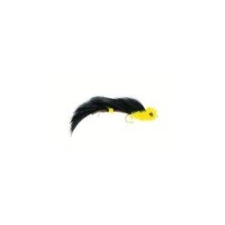 Dumbell Eye Hot Tail Black