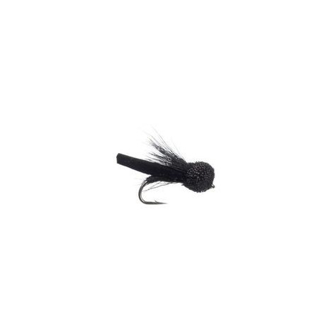 Letort Cricket Black