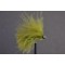 Mini Cats Whisker  All Olive