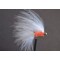 Mini Cats Whisker  White & Orange