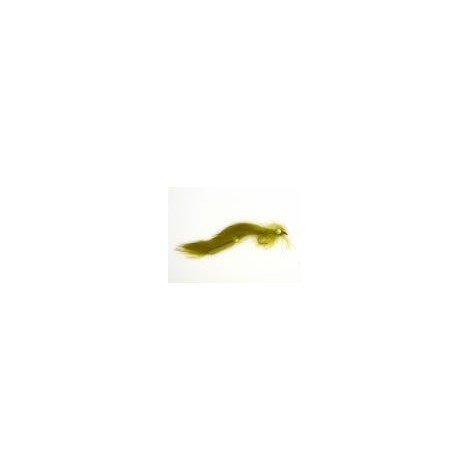 Olive Bunny Leech