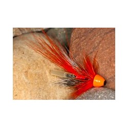 Allys Shrimp ConeHead