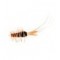 Frances Black Conehead  Copper Tube Fly