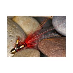 Pot Belly Pig Red ConeHead