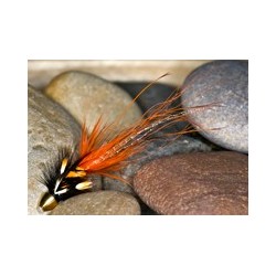 Pot BellyPig Or BlCH