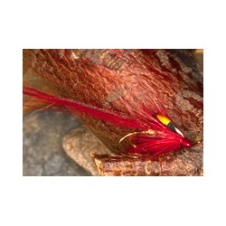 Red Bladenoch Shrimp