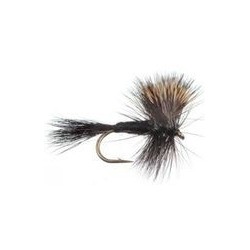 Wulff Black Hair Wing