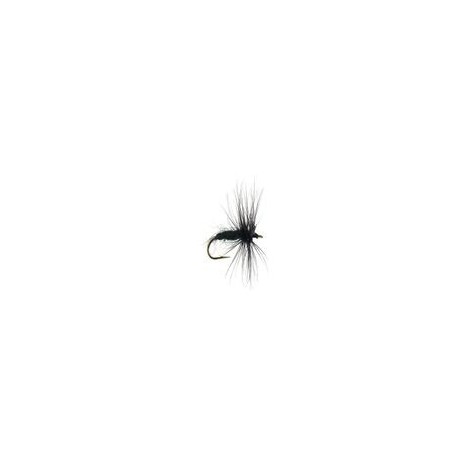 Black Spider
