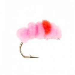 Blood dot Baby Pink flame