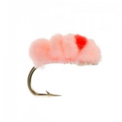 Blood Dot Peachy King Flame