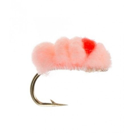 Blood Dot Peachy King Flame