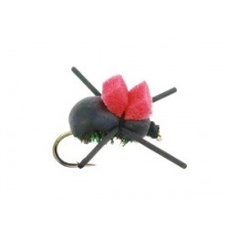 Rainys Foam Beetle