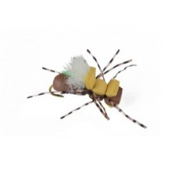 Taylors Fat Albert Tan