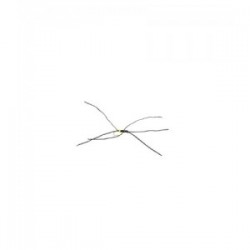 Apps bloodworm Black