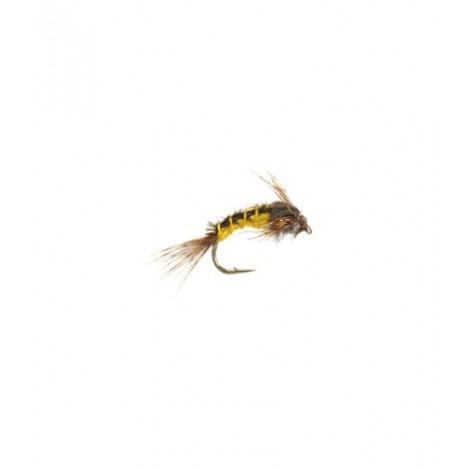 Baetis yellow nymph
