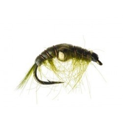 Bead Body Scud Olive