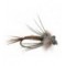 Bears Pheasant Tail