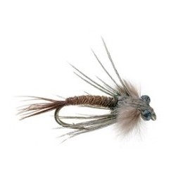 Bears Pheasant Tail
