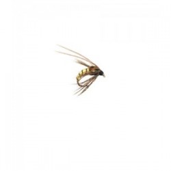 Caddis Pupa Cream