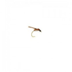 Corixa Plain Paddles