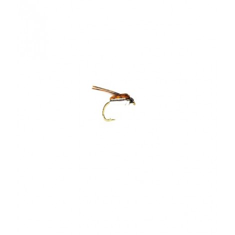 Corixa Plain Paddles